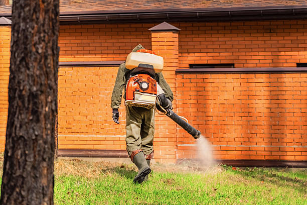 Trusted Bed Bug Control service in Colonial Park, PA - Nex Pest Control